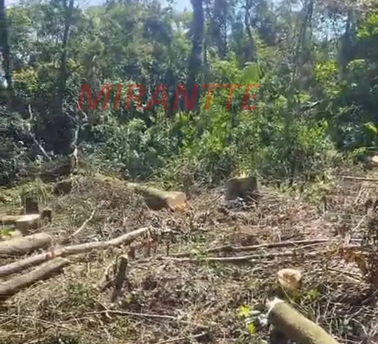 Terreno em SANTA INÊS