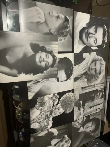 Nove posters Filmografia Carmen Miranda e +