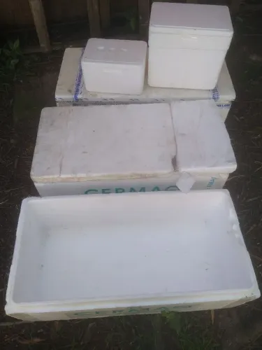 Caixas de isopor 