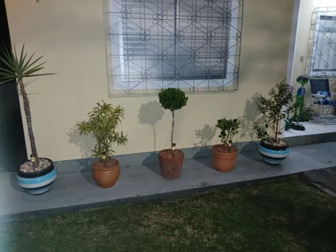 Jardineiro