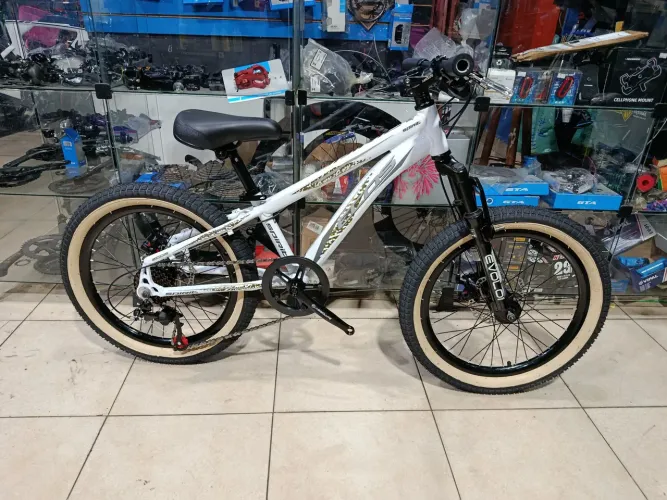 Bike aro 20 alumínio MTB freio a disco ecos