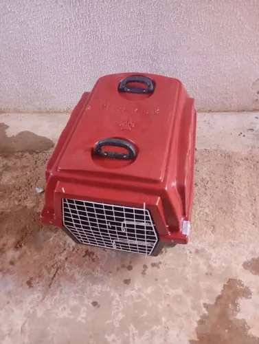 Baú de transporte de cachorro 