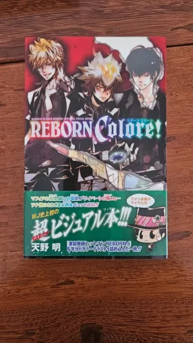 Artbook REBORN Colore!