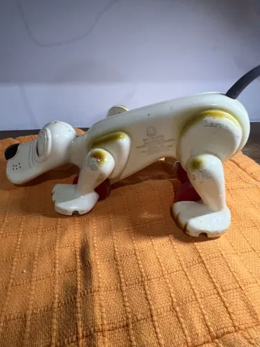 Cachorro Xereta da Estrela antigo anos 80