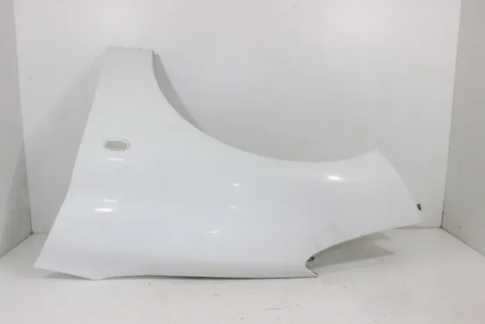 Paralama Esquerdo Original Peugeot 207