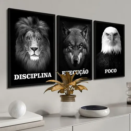 3 quadros motivação com vidro