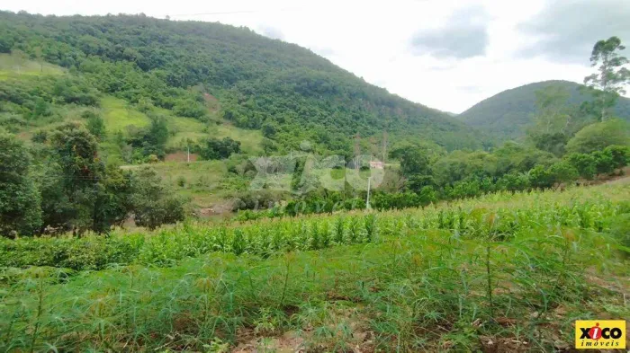 SÍTIO / CHÁCARA PARA VENDA EM NOVA PETRÓPOLIS / RS NO BAIRRO LINHA RIACHUELO