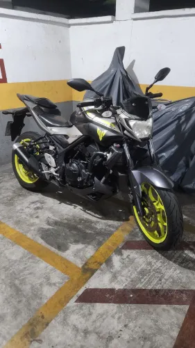 Mt03