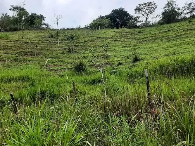 PROPRIEDADE 22 ALQUEIRES IMBÉ BRINCO