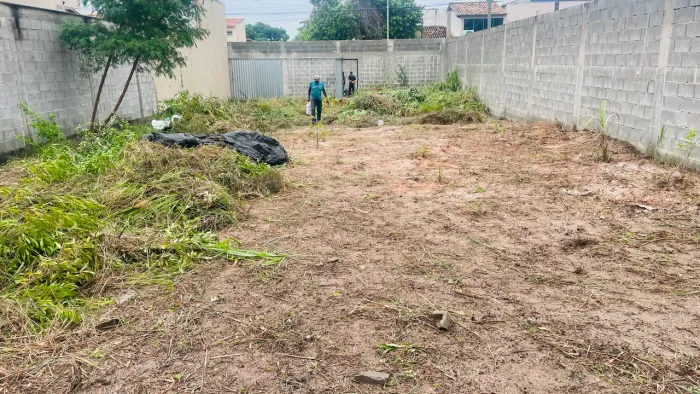 Terreno murado