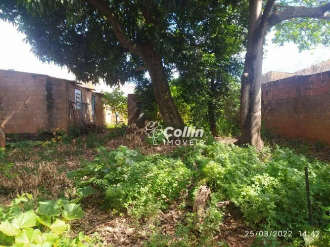 Terreno, 888 m² - venda por R$ 380.000,00 ou aluguel por R$ 1.500,00/mês - Nossa Senhora d