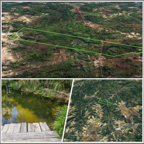 VENDE-SE FAZENDA EM SANTA QUITÉRIA-MA *31