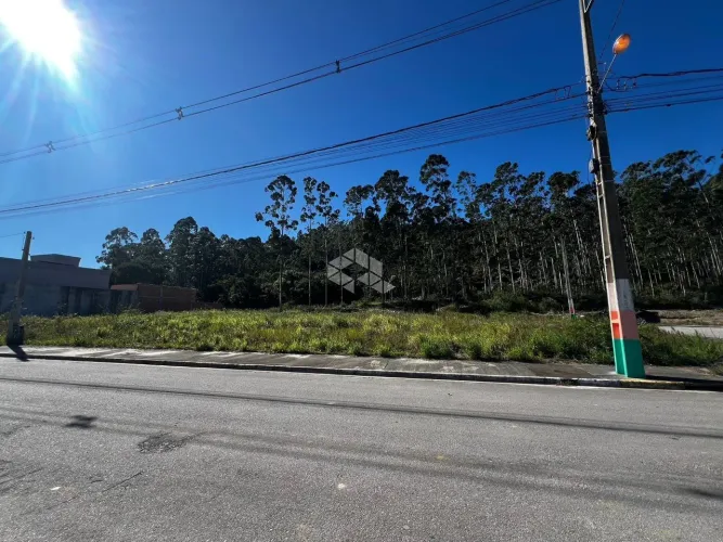 Terreno plano 404m² Loteamento Terras Altas - São Francisco de Assis - Camboriú