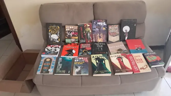 Lote 19 livros