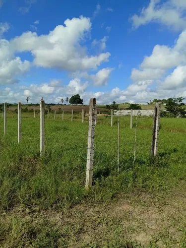 Lote em Salgado - SE