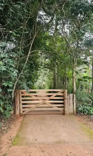 SÍTIO C/3 CASAS E C/ÁGUA NASCENTE À VENDA - FERVEDOURO/MG