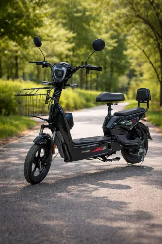 Bicicleta Elétrica Eco Smart 1000w