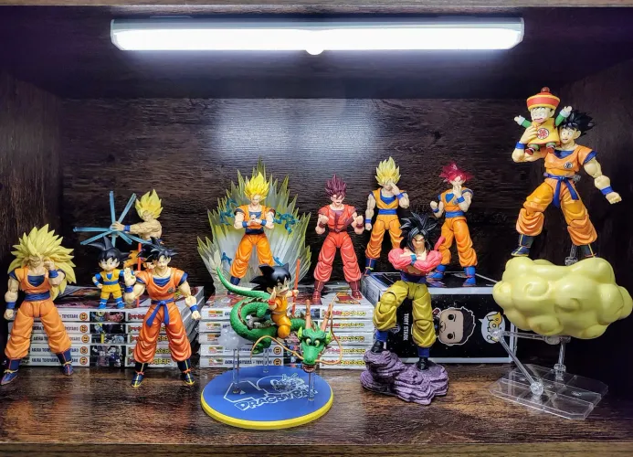 Goku shf