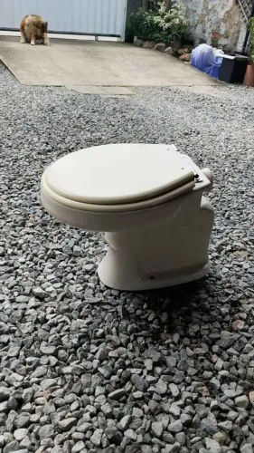 Vaso Sanitário