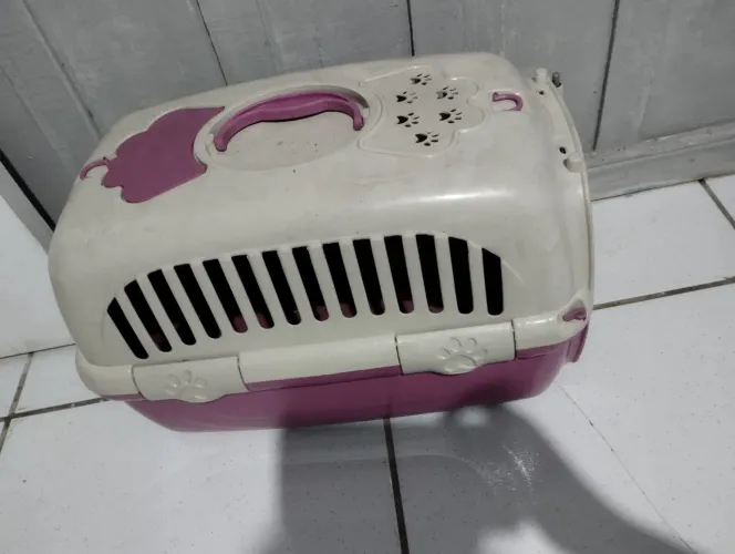 Caixa transporte pet pequena 