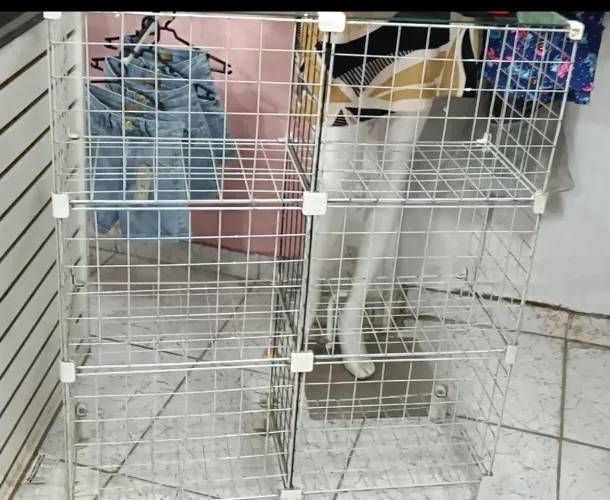 Vende se balcão bom retira taipas zn