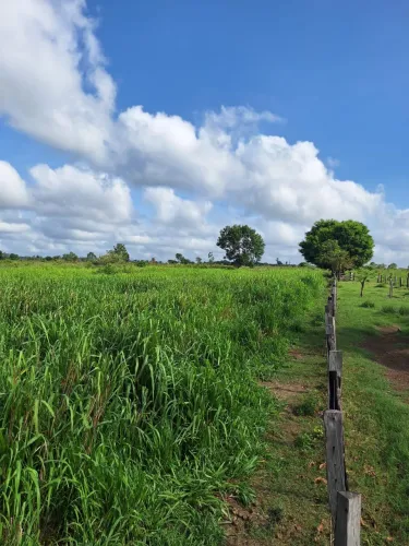 Terra a venda 