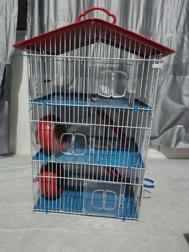 Gaiola para Hamster