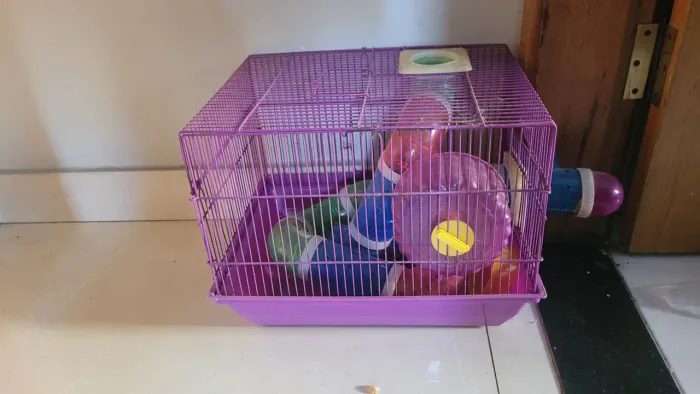 Gaiola de pet. Hamster.