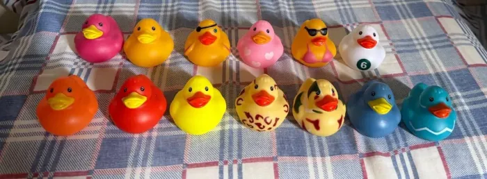 Patinhos Decoração Importados Irlanda