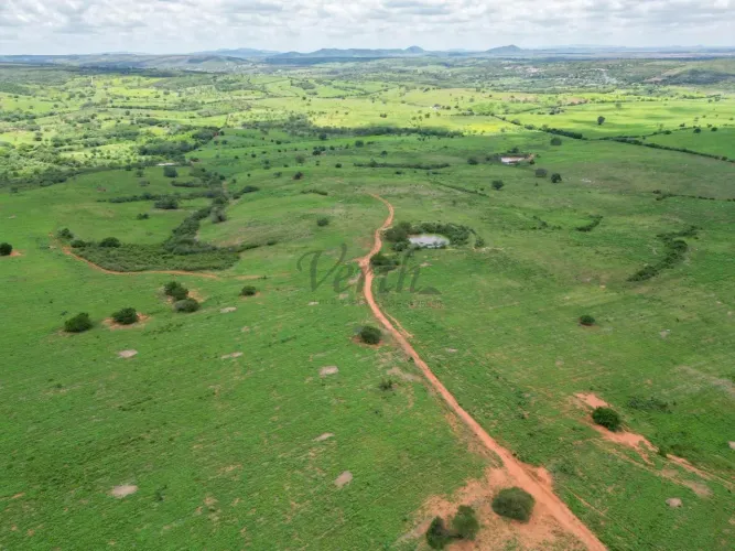 Fazenda à venda 145 hecteres, Jeremoabo - Bahia