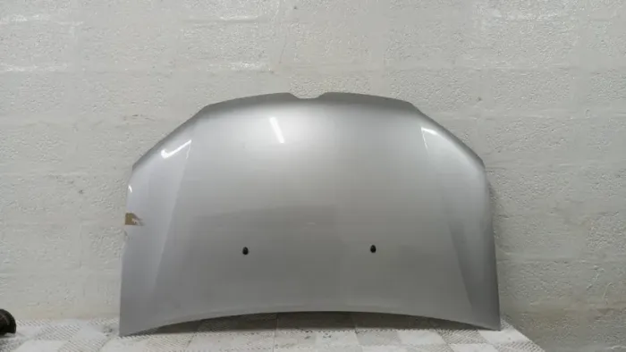 CAPO RENAULT SANDERO