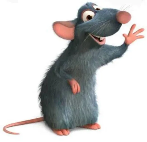 Ratos / Ratinhos / Mercols / Twisters / Camundongos / Roedores
