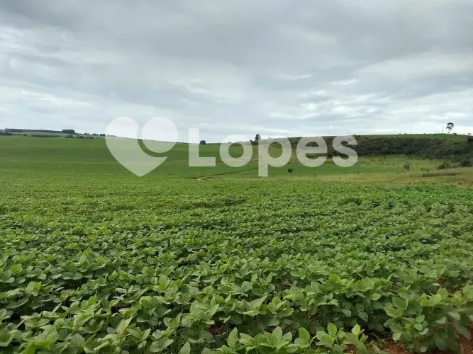 Fazenda 483 ha no Triângulo Mineiro | Dupla Aptidão | Sacramento-MG