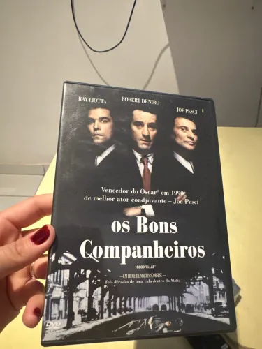 DVD os bons companheiros