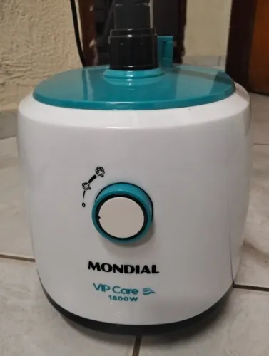 Passadeira a vapor mundial.