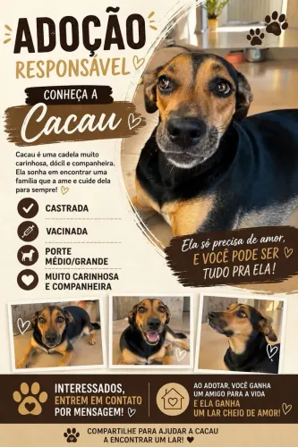ADOÇÃO RESPONSÁVEL CACAU FILA