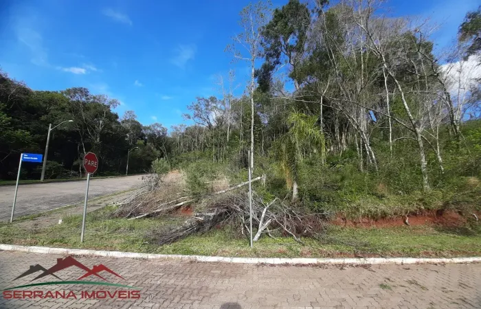 TERRENO RESIDENCIAL em Nova Petrópolis - RS, Linha Imperial