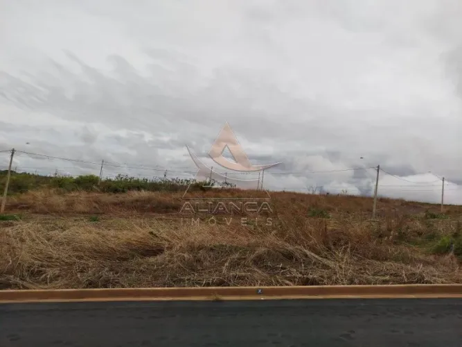Terreno - Ribeirão Preto - Belvedere Laranjeiras