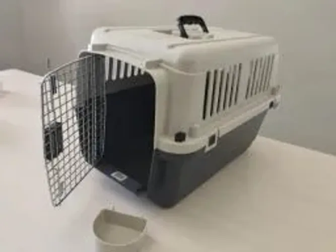 Caixa de Transporte Pet - Ótimo Estado Black Friday