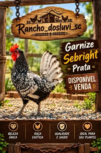 Garnize Sebright Prata