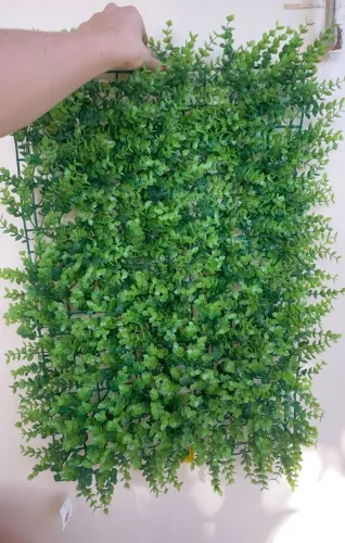 8 placas de folhagem novas.