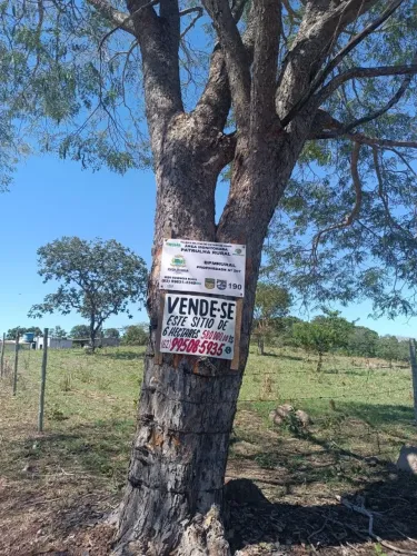 Sítio em Iporá- Vende -se *