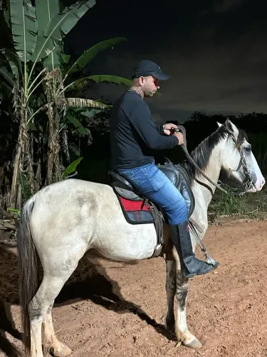 CAVALO MACHADOR