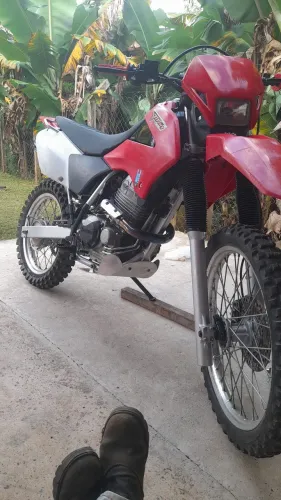 Xr 250 tornado