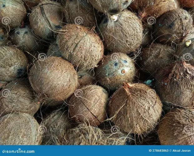 Vende-se coco.
