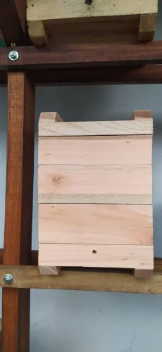 Caixa para abelha Jataí 