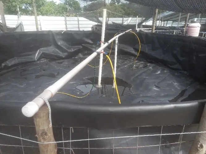 Tanque para criação de tilapias
