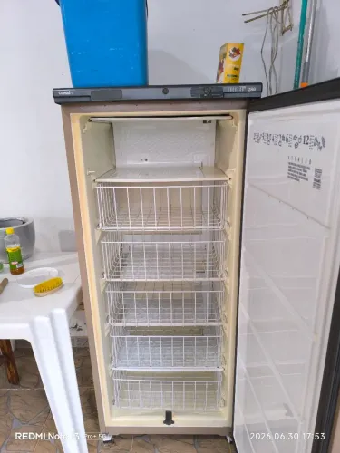Freezer vertical