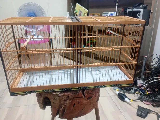 Voador pra papa capim medindo 60 cm por 19