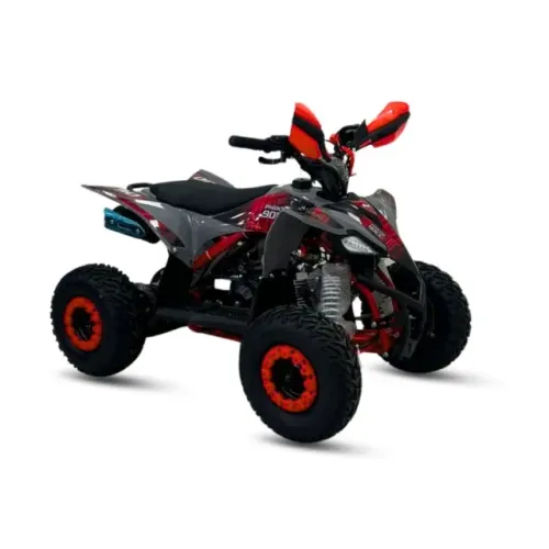 Quadriciclo Phantom 90 2026 (0KM Pronta entrega) Em até 12x sem juros no cartão (últimas u